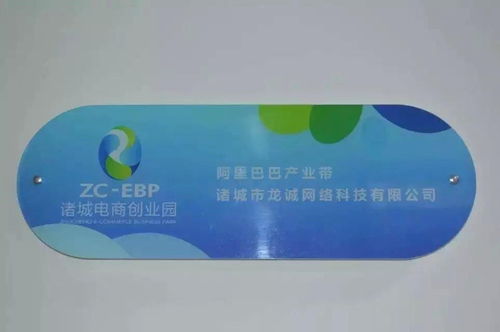 诸城市龙诚网络科技 赋能地方企业，驱动数字化转型