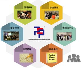 想成为企业青睐的教练？这门网络技术认证课不容错过