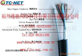 福州通驰网络科技通讯电缆产品列表与网络信息处理解决方案